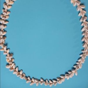 Excellent Condition Cowerie Seashell Necklace